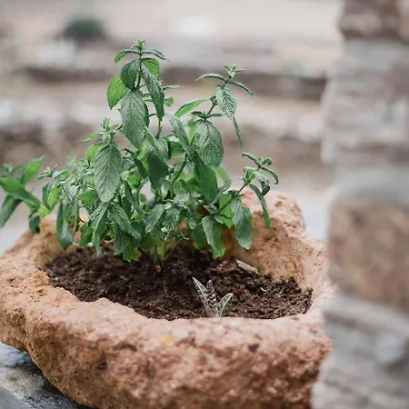 Falakis Apartment Kythnos
